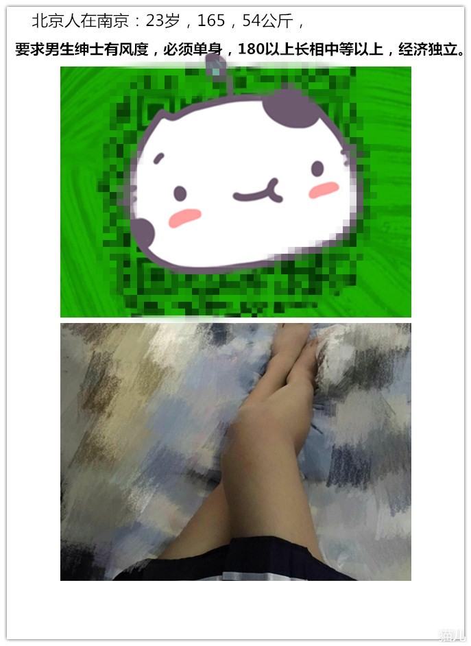 113.jpg