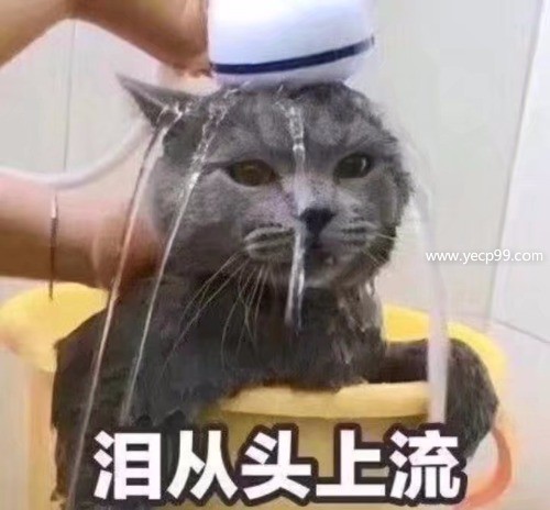 1527202435721.jpeg