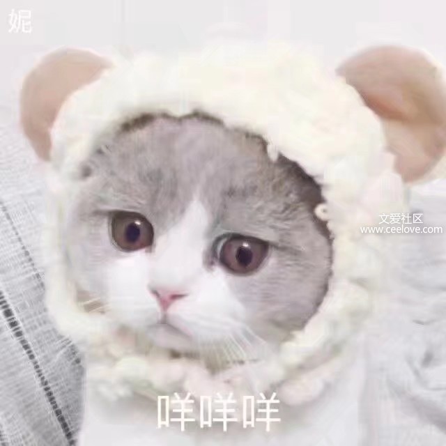 1563795401237.jpeg