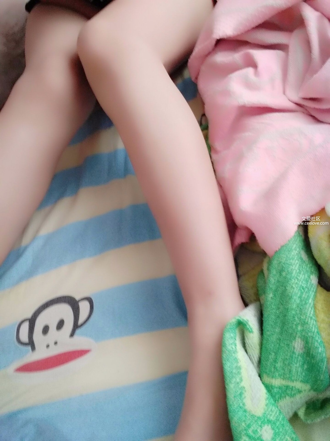 -4a8704eea35e6f00.jpg