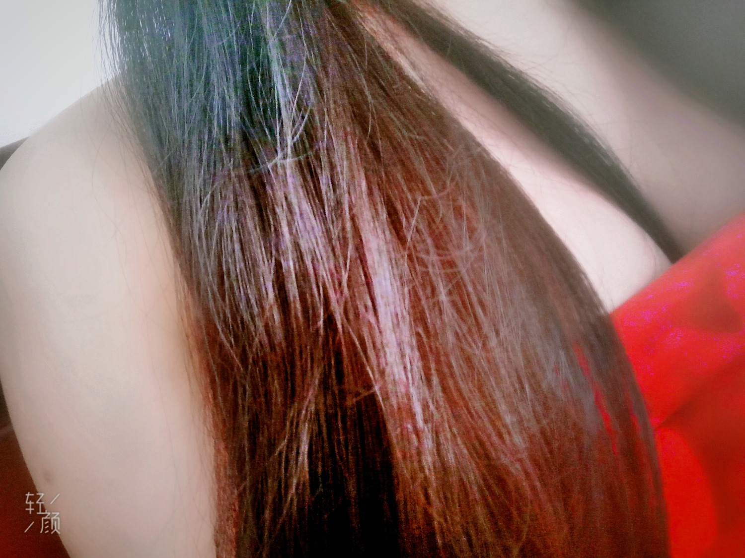 beauty_20200203142133_mix02.jpg